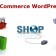 ecommerce.png