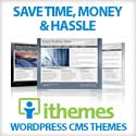 Go to iThemes