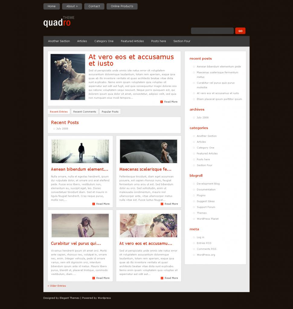 Quadro WordPress Theme elegant theme