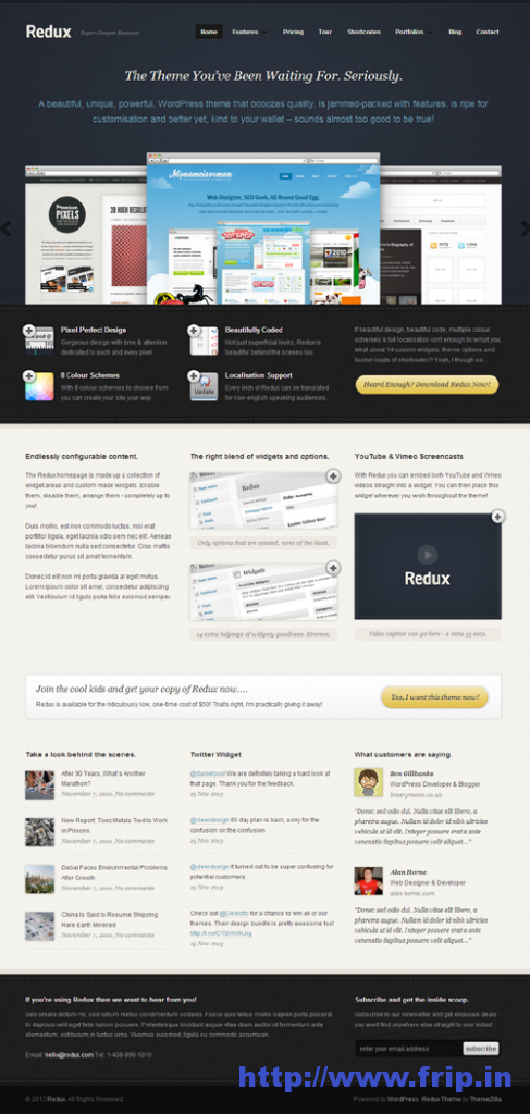 Redux Business & Portfolio WordPress Theme