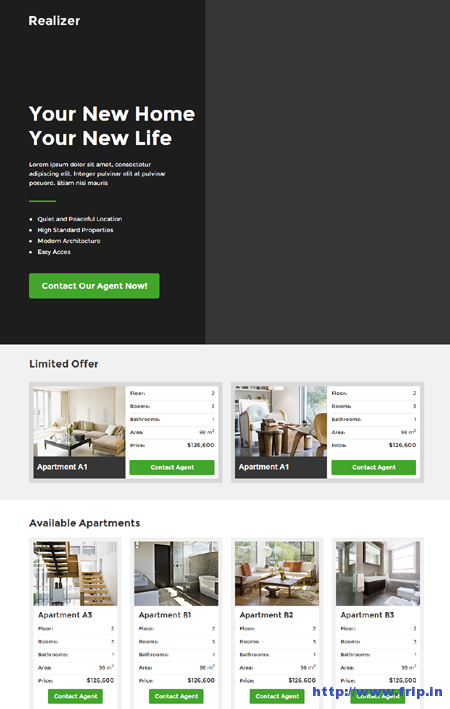 Realizer – Real Estate Lading Page