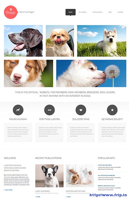 Dog-Responsive-WordPress-Theme