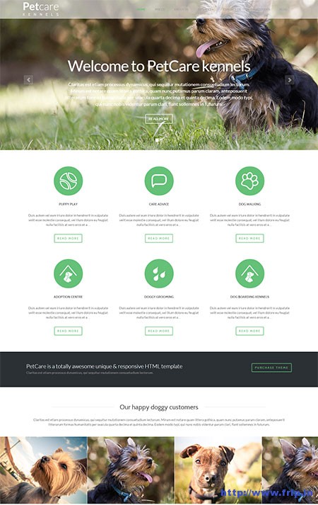 Pet-Care-Dogs-Kennels-WordPress-Theme