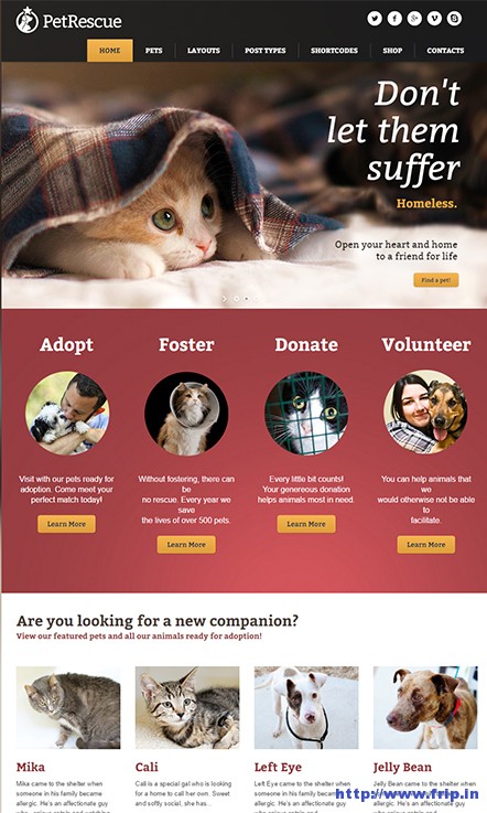 Pet-Rescue-Animal-Charity-Theme