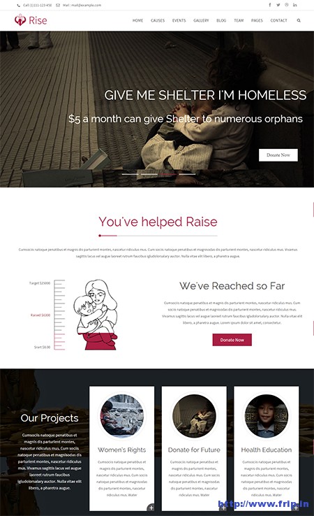 Rise-NGO-&-Charity-WordPress-Theme