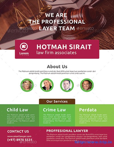 Law-Firm-Flyer