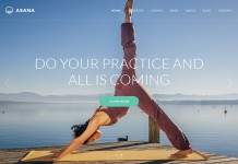Best Selling WordPress Themes of 2015