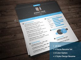40+ Best Infographic Resume Print Templates 2016 - Frip.in