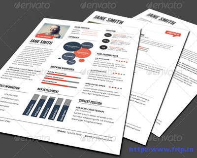 Infographic-Style-Resume-Template-–-Ver-2