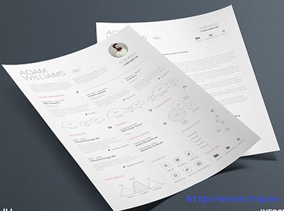 Ultraclean-Infographic-Resume
