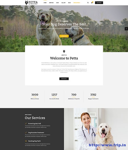Petta-Pet-Care-WordPress-Theme