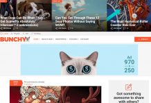 Bunchy Viral WordPress Theme With Open Lists