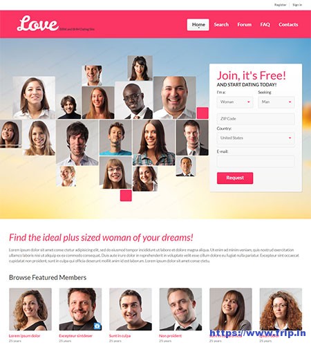 7 Best Dating Website Templates 2021 For Dating Sites Frip In
