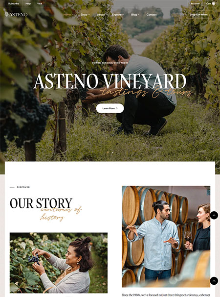 Ap-Asteno-Wine-Shopify-Theme