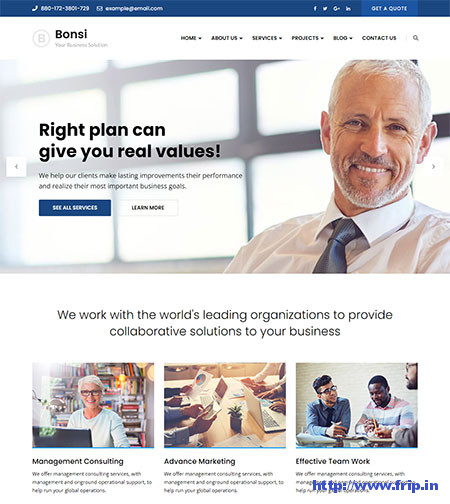 Bonsi-Business-Consulting-Theme