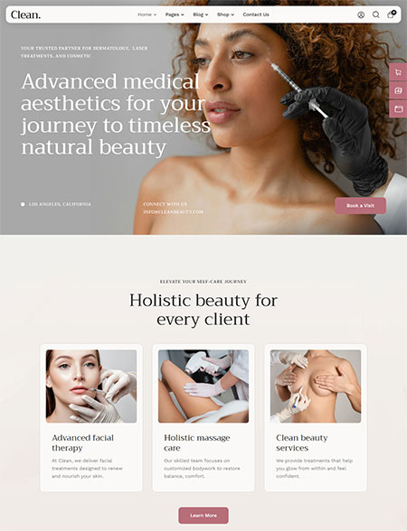 Clean-WordPress-Theme