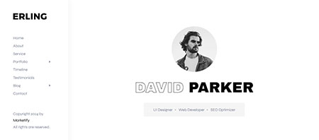 Erling-WordPress-Theme