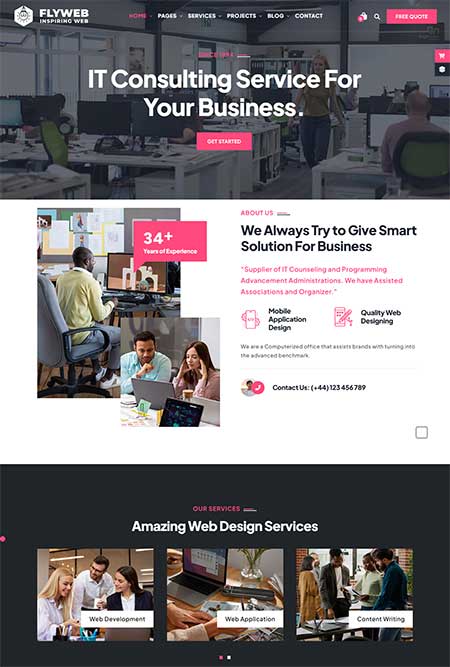 Flyweb-Web-Design-Theme