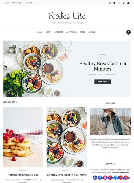 Foodica-Lite-WordPress-Theme