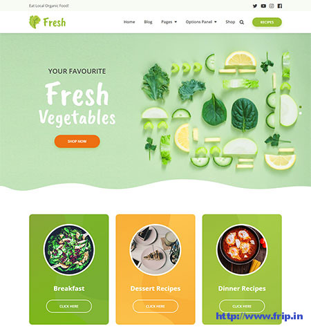 Fresh-food blog- WordPress-Theme