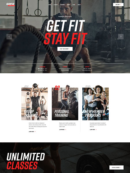 GoFiz-Fitness-Club-Theme