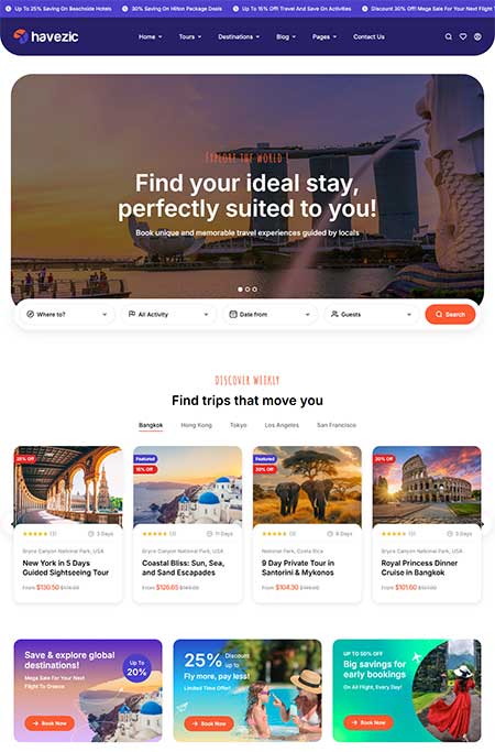 Havezic-WordPress-Theme
