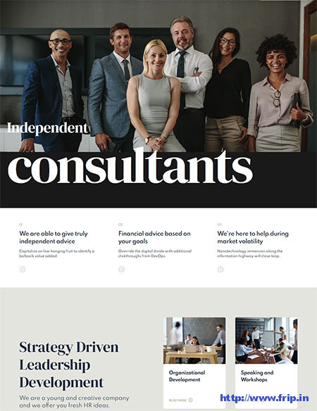 Nifty-Business-Consulting-Theme