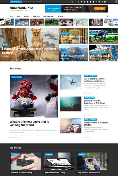 Numinous-Pro-wordpress-theme