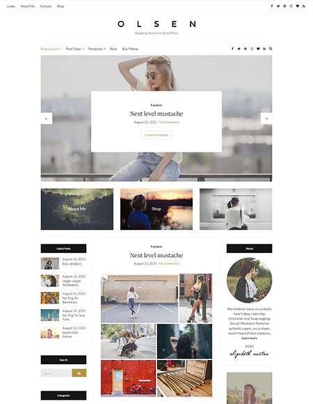 Olsen Pro Blogging WordPress Theme