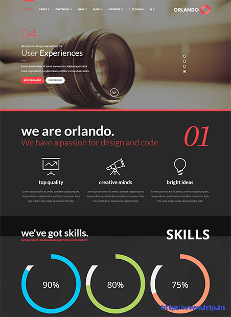 Orlando-Infographics-WordPress-Theme