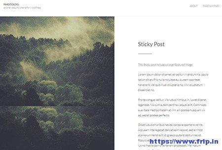 Photolog-WordPress-Theme
