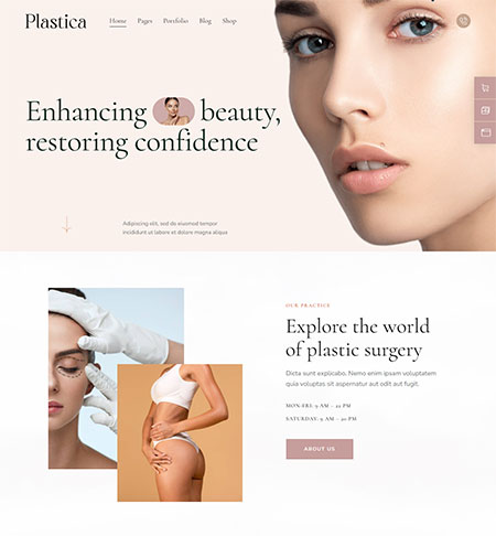 Plastica-WordPress-Theme