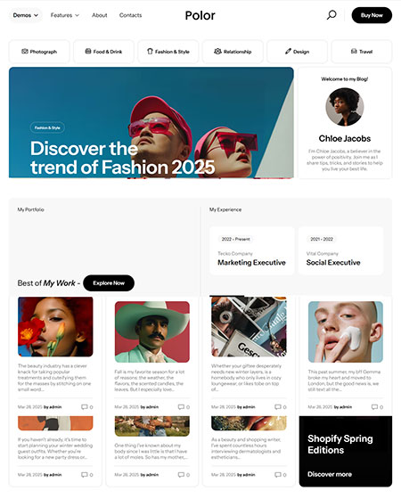 Polor-WordPress-Theme