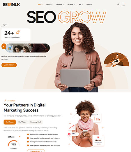 SEOInux-SEO-WordPress-Theme