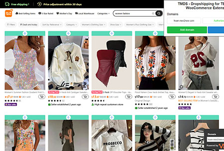 TMDS-Dropshipping-for-TEMU-&-Woo