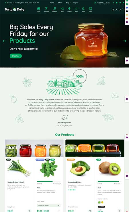 Tasty-Daily-WooCommerce-Theme