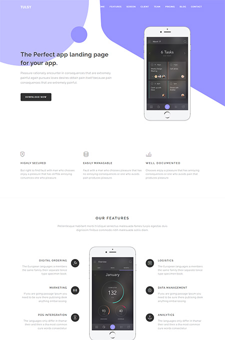 Tulsy-Multipurpose-template