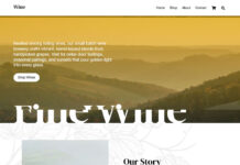 Ultra Wine WordPress Theme By Themify Themes