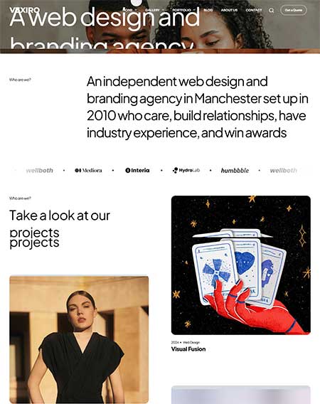 Vexiro-WordPress-Theme