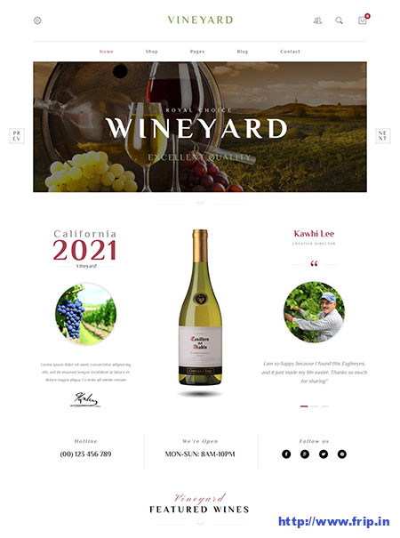 Vineyard-Wine-Store-Theme