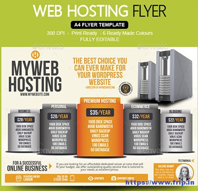 Web-Hosting-Flyer
