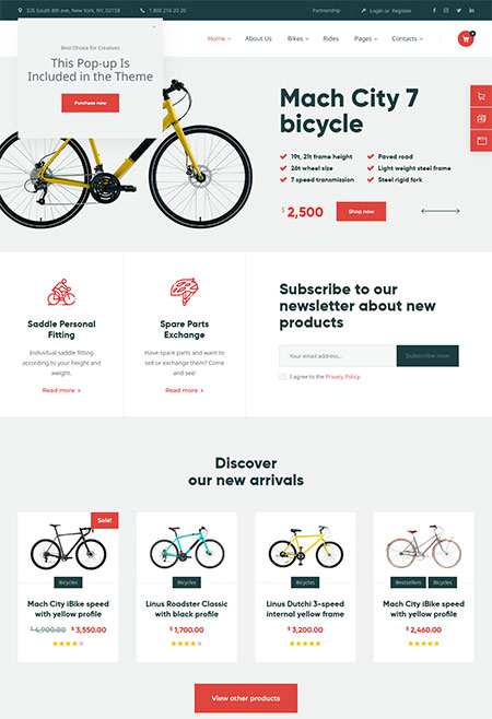 Bike Store WordPress Theme