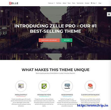 Zelle-Pro-One-Page-WordPress-Theme