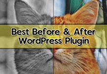 4 Best Before And After WordPress Plugin 2025