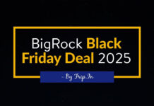 BigRock Black Friday Sale 2025 – Get 75% Off