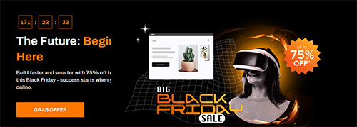 bigrock-black-friday-sale-2025
