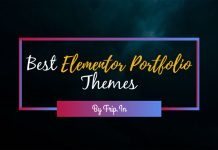 20+ Best Elementor Portfolio Themes for WordPress 2025