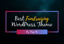 15+ Best Fundraising WordPress Theme 2026