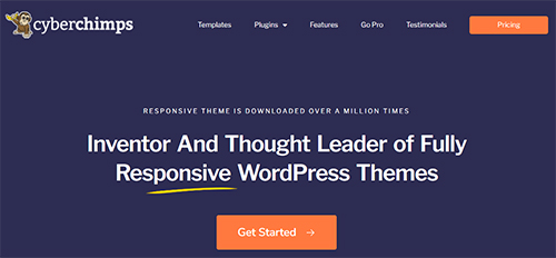 responsive-WordPress-theme