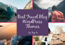 15+ Best Travel Blog WordPress Themes 2025